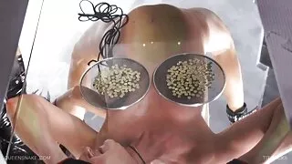 Cadela húngara com t ...