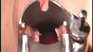 A gata de cabelo azu ...