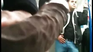 A gata japonesa brin ...