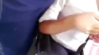 Cadela mimada Abigai ...
