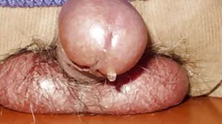 A puta filme de porn ...
